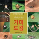 주머니 속 거미도감 - 생태탐사의 길잡이 8 이미지