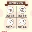 무드뭉 네이버블로그