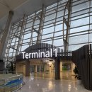 아시아나 OZ361 인천-상하이 푸동공항 비즈니스석 탑승 후기