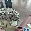 이엔피시컨버젼(주) | 4월에 다녀왔던 오사카
