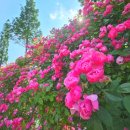 신정호수공원-6 이미지