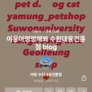 야옹아멍멍해봐 수원대융건릉점 이미지