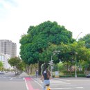 유바이크 | 대만 유바이크 사용법 공유 자전거 요금 가입