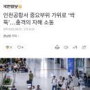 인천공항서 중요부위 가위로 ‘싹뚝’…충격의 자해 소동 이미지