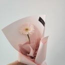 꽃;한송이 네이버블로그