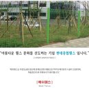 서둔동 292 이미지