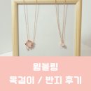 [목걸이/반지] 윙블링 악세사리 후기! :)