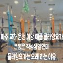 요가+근력운동 | 파주 교하 운정 야당 애플 플라잉 요가/운동은 작심삼일인데, 플라잉 요가는 오래 하는 이유