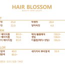 헤어(HAIR).다올 이미지