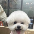 두루밍 이미지