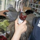 실로암 3농장 이미지