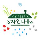 아로니아민박 | ​식빵믹스로 식빵 만들기 🍞 초보 홈베이킹 백설 식빵믹스 오븐 성공 후기 (견과류 토핑)