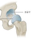 채움필라테스 - 당진시 당진중앙2로 447 | 채움필라테스