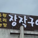 보아유황오리
