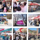 동산1리 에어로폰 | 에덴 벚꽃길 벚꽃 축제 가평 가볼만한곳 서울근교