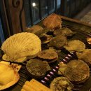 캣츠펜션 이미지