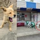 우림슈퍼 이미지