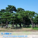 안동체육공원 농구장