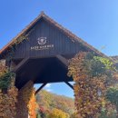 햇고을(동아점) | 2023 춘천마라톤 10km