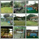 해바라기어린이집마당 이미지