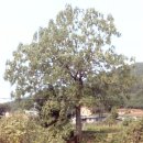 21C당구장 이미지