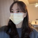 노아덴탈 이미지