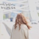 채원 이미지