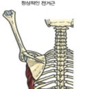 아이언짐창원 이미지