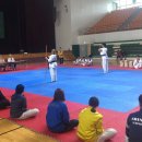 타이거 태권도장 이미지