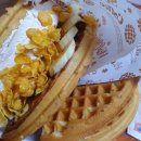 투엑스라지(2XL) 이미지