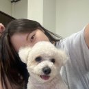 이뻐지는산책 이미지