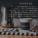 511더치 이미지