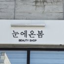 눈에온봄 이미지