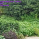 삼현보건진료소 이미지