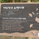 노고봉산성과 애기바위산성 | [2012년] 임존산성과 느린 꼬부랑길 걷기 - 슬로스티 예산 걷기