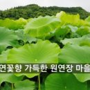 원연장마을회관 이미지