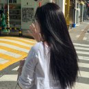 샤르망헤어샵 | 야탑미용실 꾸밈 야탑 2호점 바이올렛 염색💜 솔직 후기