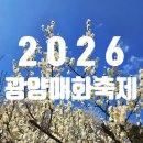 광양매화문화관 | 2026광양매화축제!다녀온 후기(스탬프투어, 굿즈,먹거리 등)