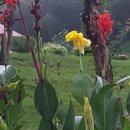 꼼지의 작은세상 이미지