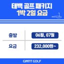 태백골프장 오투cc 골프텔 1박2일 여름라운딩 패키지