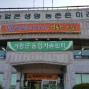 거창군농업기술센터 이미지