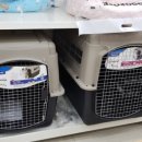 화전약국 이미지