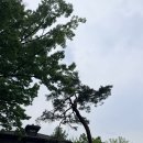 싸이다국적노래클럽 | 2026 성시경 축가콘서트 후기 (feat.게스트 싸이 권진아)+ 당일 꿀팁