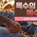 삼백문구 이미지