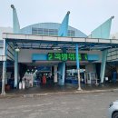 대천항수산시장 | [보령 가볼만한곳] 대천항 수산시장 방문 후기! 싱싱한 제철 해산물 가격과 주차 꿀팁