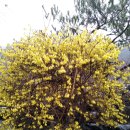 수봉농원 이미지