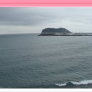 산책길-1 이미지