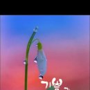 맑은 아침 이미지