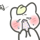 언양농장생오리 이미지