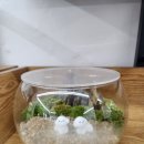 제주공방